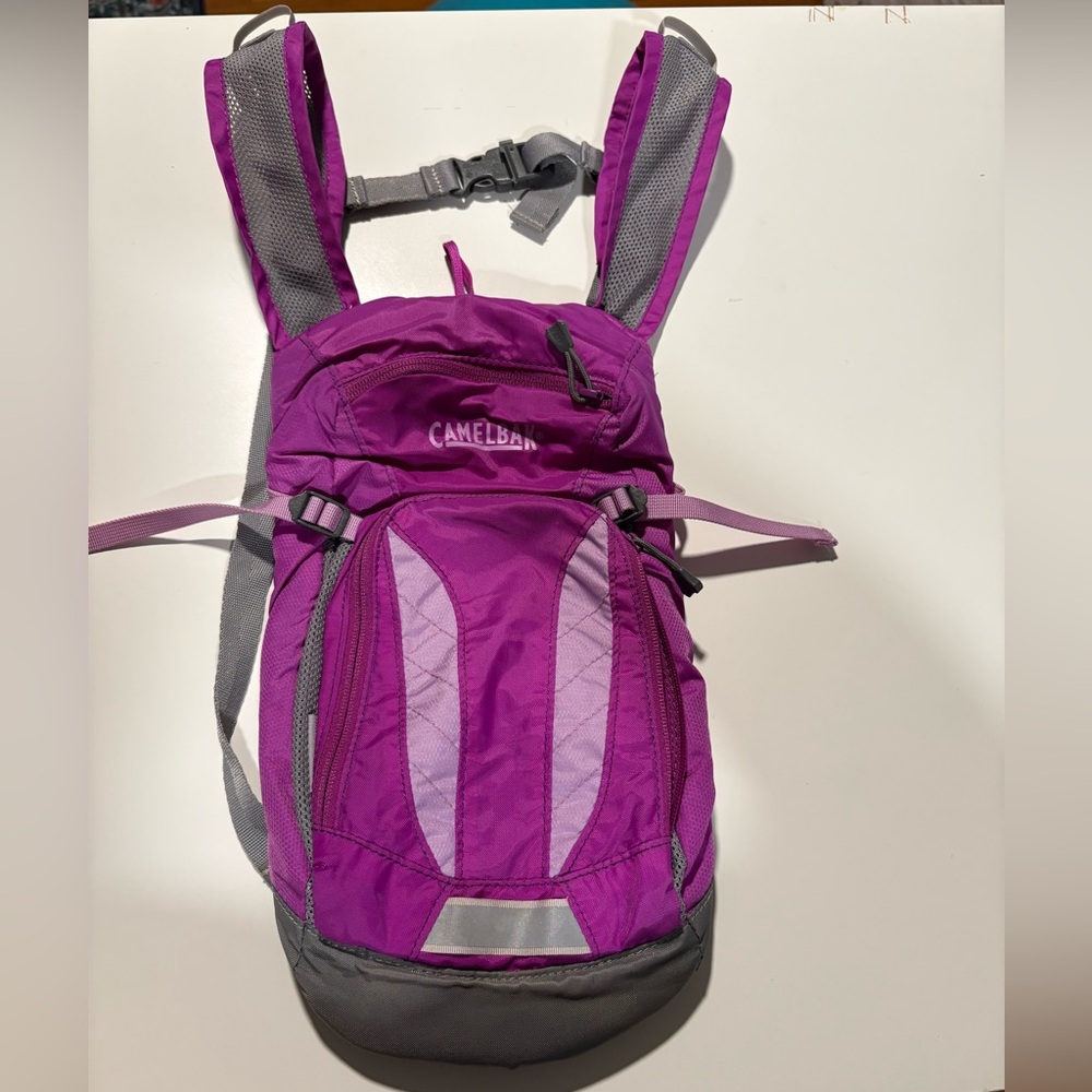 Camelbak Purple and Gray Backpack